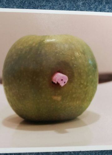 שיעורי צילום – תל”ן – איילה חקק, ו’1