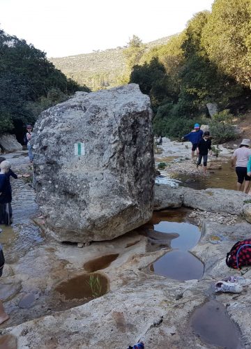 טיול שכבה ה’ נדב טהון, ה’2