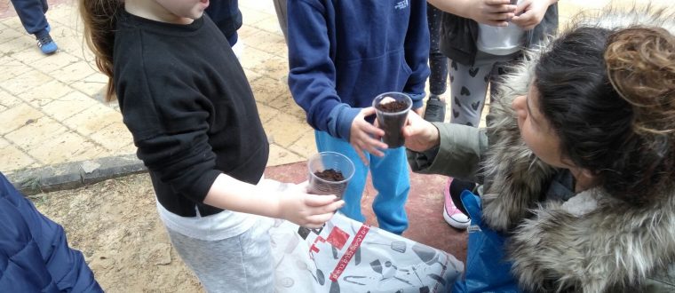 ט”ו בשבט באנגלית – נגה ספורטא, א’1