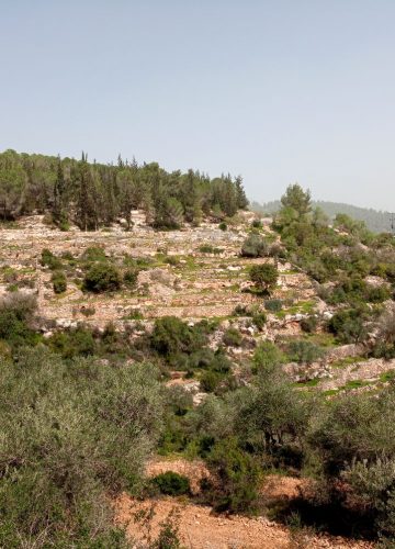 טיול שכבת ג’ בסטף
