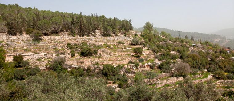 טיול שכבת ג’ בסטף