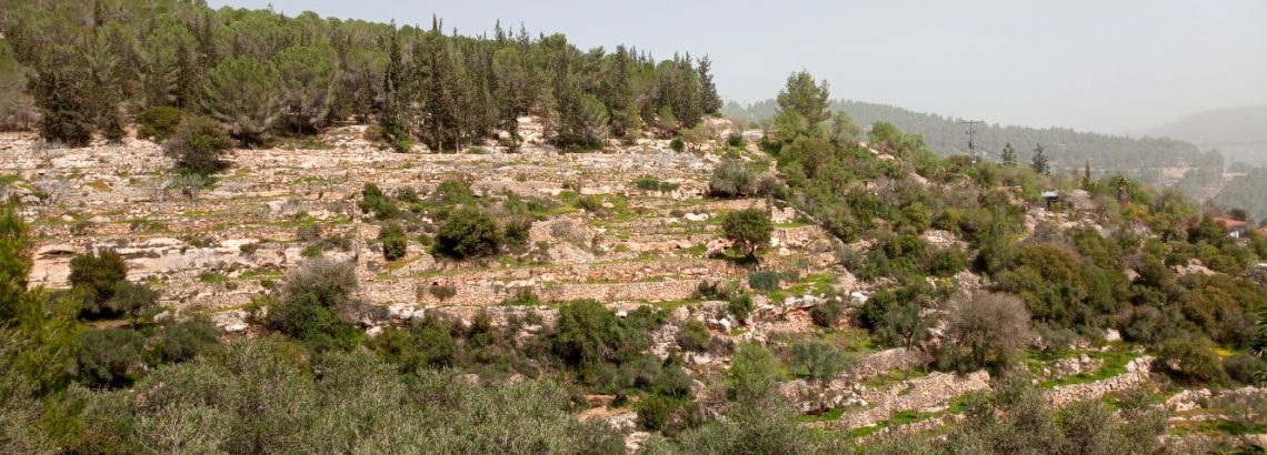 טיול שכבת ג’ בסטף