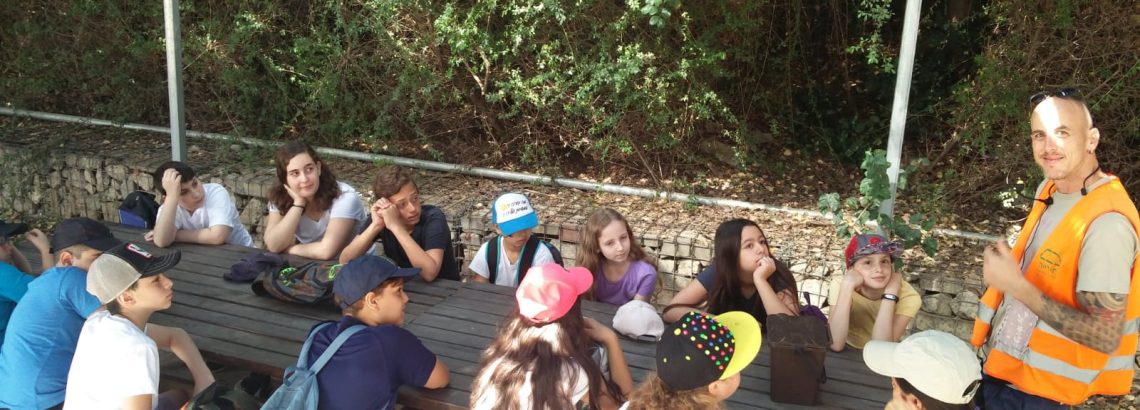 פעילות מועצה ירוקה בחירייה – אורן מורדוקביץ, ח’1