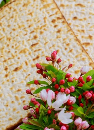 סדר פסח בהנחיית ארגון בינ”ה