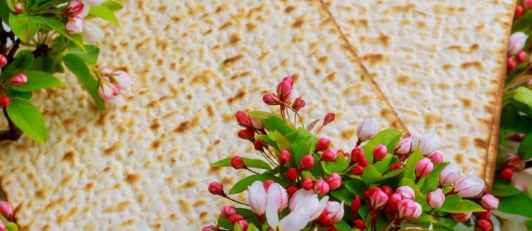 סדר פסח בהנחיית ארגון בינ”ה