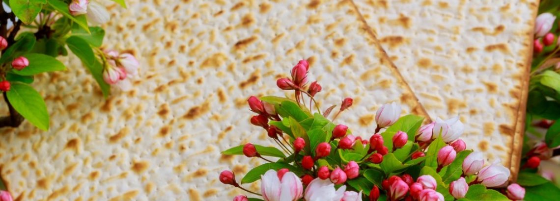 סדר פסח בהנחיית ארגון בינ”ה