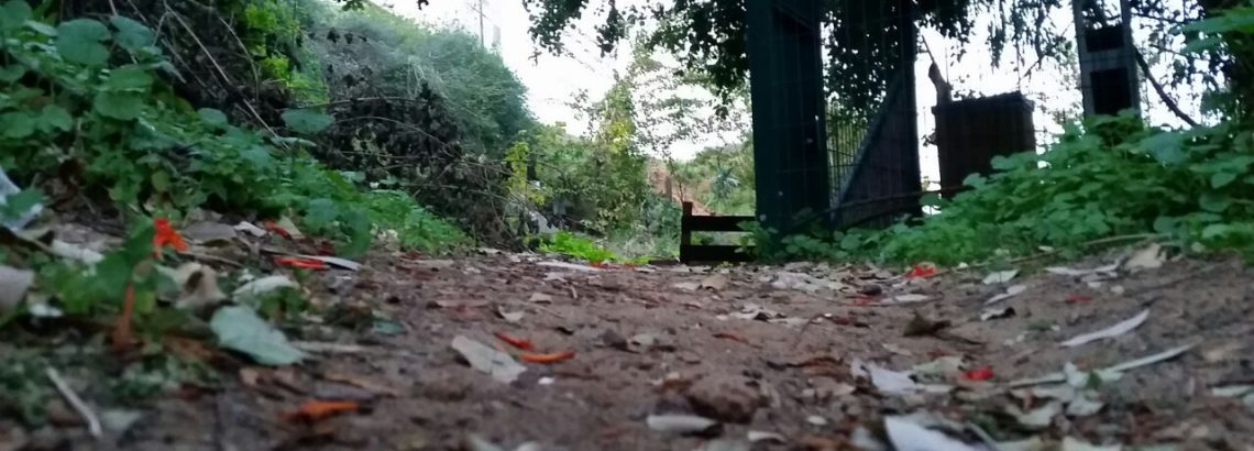 תערוכת צילום של תלמידי שכבה ח׳ בנושא עירי-ביתי-אני  – בהנחיית נעה נוימן