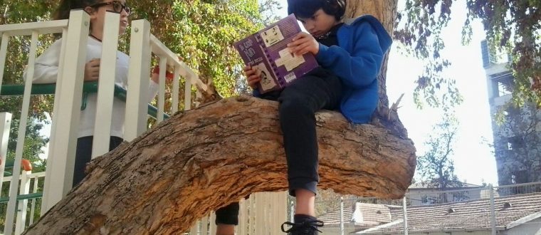שווה קריאה – אסנת אבניאל