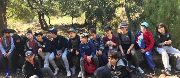 טיול שנתי של שכבת ה לאזור הכרמל – אלמה בושי, ה’1