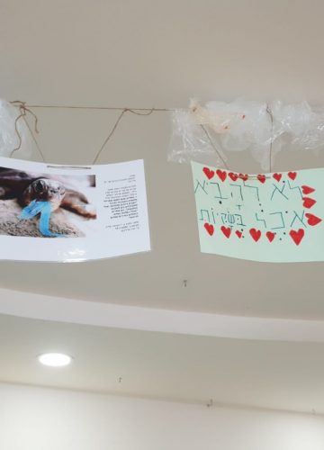 שיעורי מדעים לשכבה הצעירה בהנחיית דנה ונטורה
