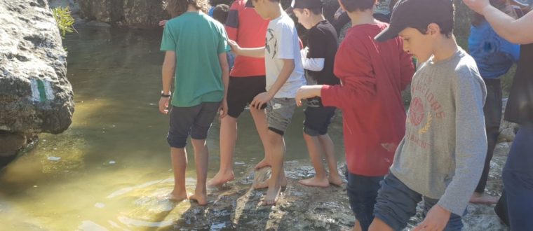 טיול לכרמל – תום אברון ד’2