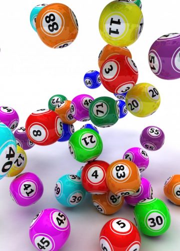 מי בא לבינגו? שלי אופנהיימר, ג’2