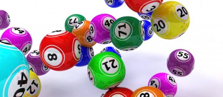 מי בא לבינגו? שלי אופנהיימר, ג’2