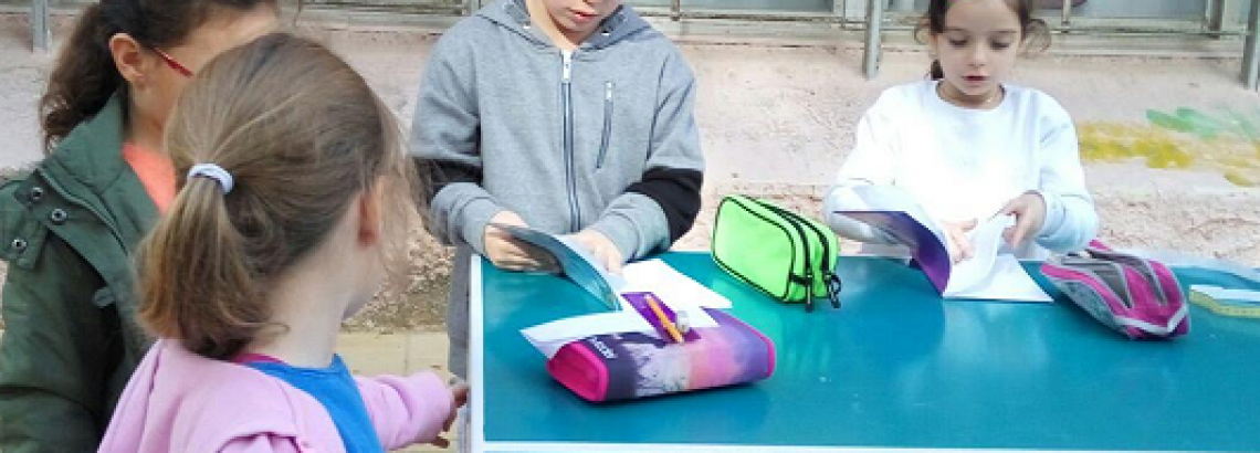 מדידת שטחים ברחבי בית הספר, אליה רוזמן ב’1